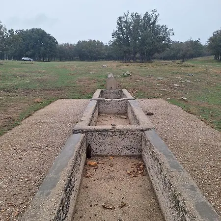 El Patio Restaurante * San Bartolomé de Pinares
