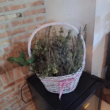 El Patio Restaurante *