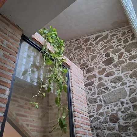 Hotel El Patio Restaurante