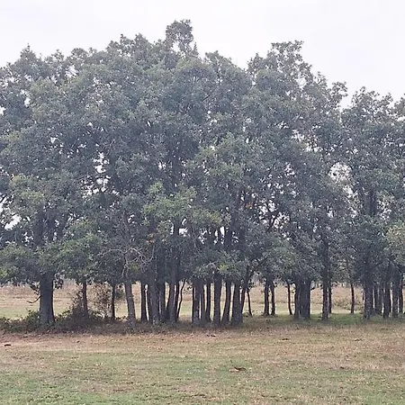 El Patio Restaurante Hotel *