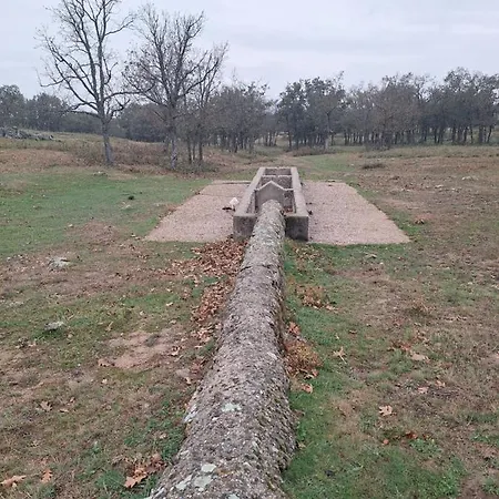 Hotel El Patio Restaurante