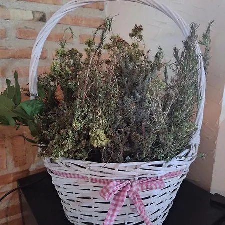 El Patio Restaurante Hotel San Bartolome de Pinares