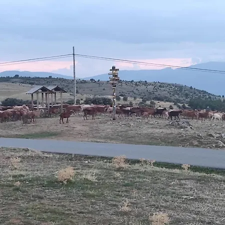 El Patio Restaurante