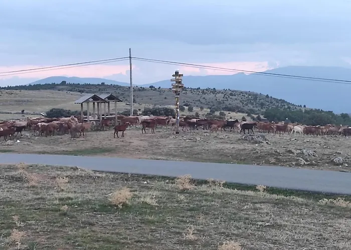 El Patio Restaurante